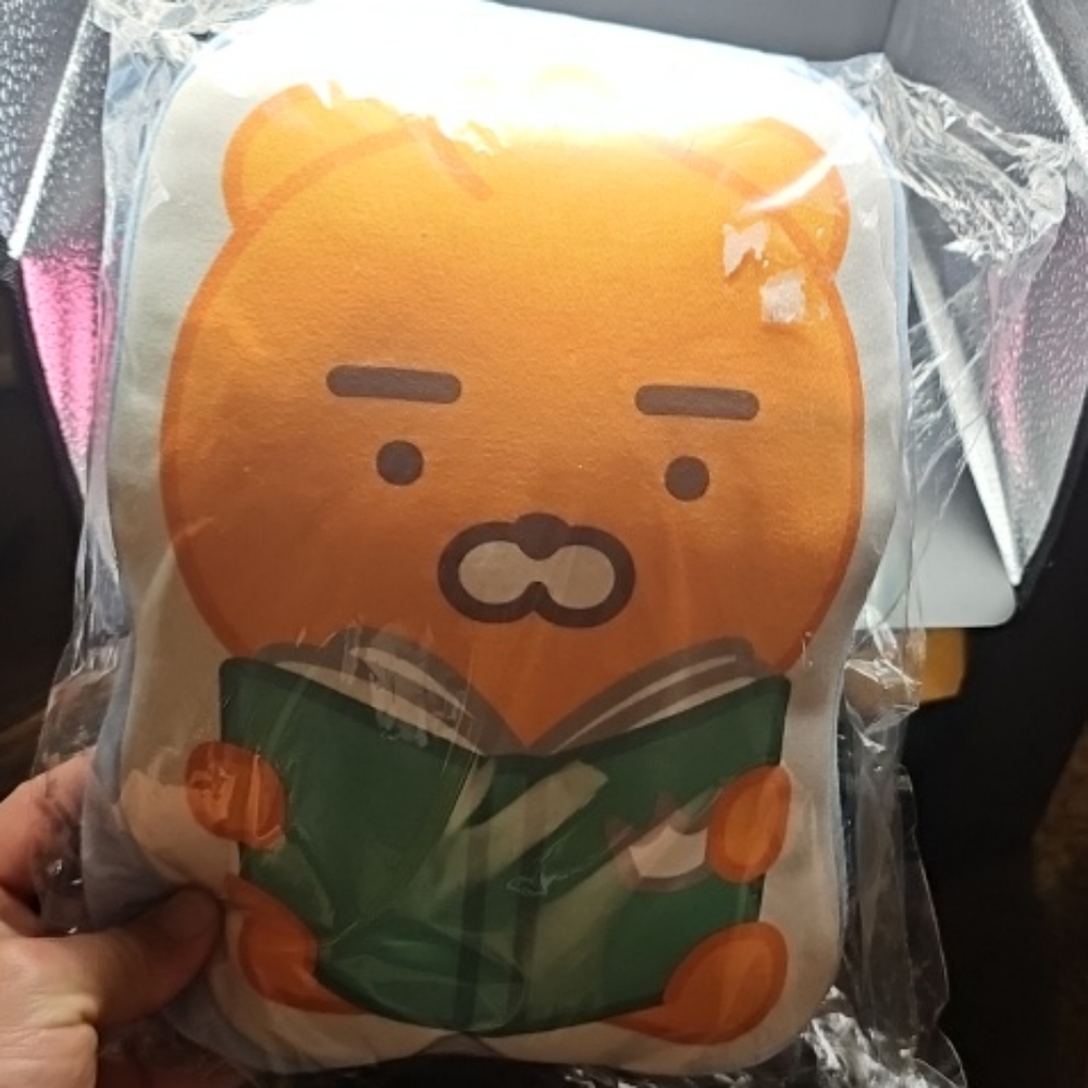 Kakao friends pillow